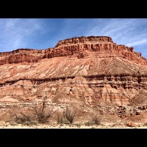 Meet your Posher, Tacy